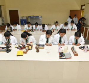 krishna college sikar